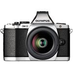 Olympus OM-D E-M5 Kit silber inkl. M.ZUIKO 12-50mm ED EZ
