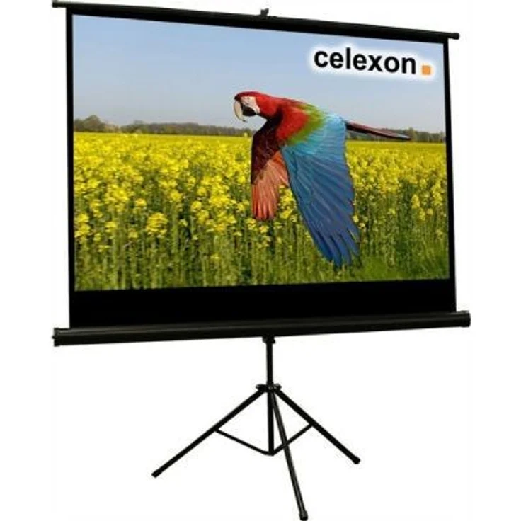 Celexon Stativ Economy 184 x 104 – Bild 1