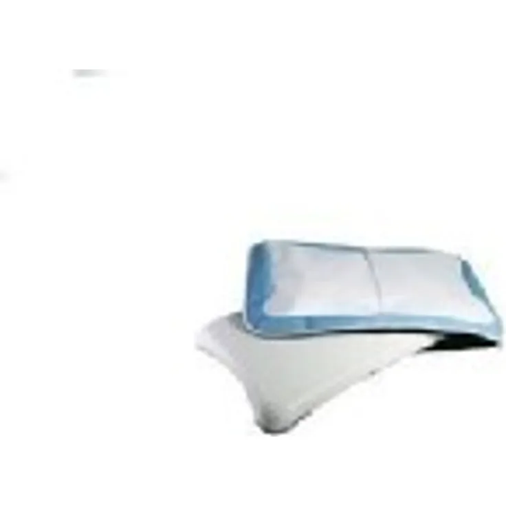 Mad Catz Wii Fit Travel Pack