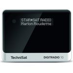 TechniSat DIGITRADIO 10 Digitalradio mit Bluetooth, OLED-Display, Wecker, schwarz, silber