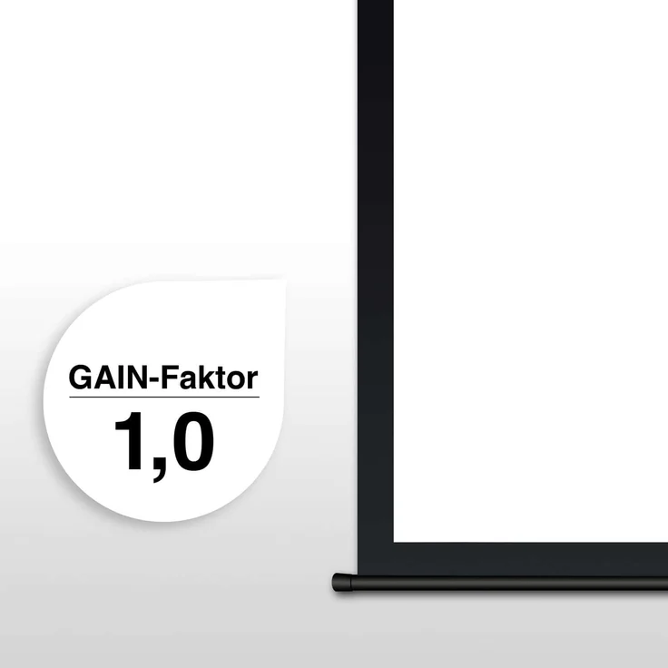 ESMART Professional MIMOTO Motor Leinwand 244 x 137 cm (110'') 16:9 – Bild 4