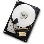HGST 7K3000 (HUA723020ALA640)