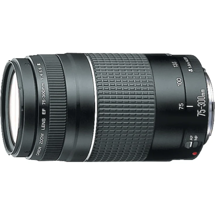 Canon 75-300mm f/4.0-5.6 III – Bild 2