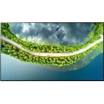 LG OLED65GX9LA 164 cm (65 Zoll) OLED Smart TV (Ultra HD, HDR) HD-Triple-Tuner (Sat, Antenne, Kabel) Modelljahr 2020 Energieklasse G (DE-Modell)