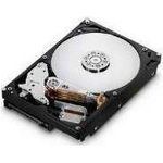 Hitachi HDS721016CLA382 Deskstar 7K1000.C 160 GB