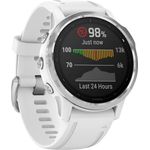 Garmin fēnix 6S Smartwatch GPS, Unisex, 42mm, Kunststoffgehäuse, Weiß
