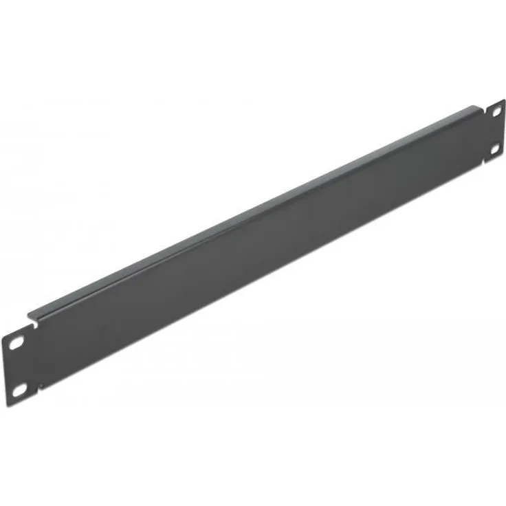 DeLOCK Network Cabinet Blind Cover - Rack-Blindabdeckungsplatte - Schwarz - 1U - 48,3 cm (19) (66289)