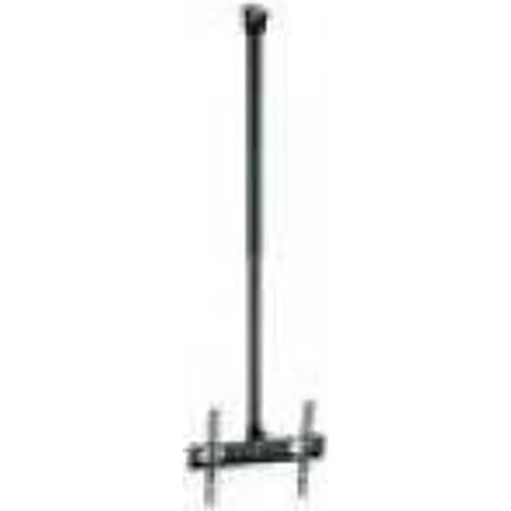 Reflecta Pallas L 23125 2Maximale VESA Norm:VESA 75 x 75