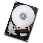 Hitachi HDT721010SLA360 Deskstar 7K1000.B 1 TB