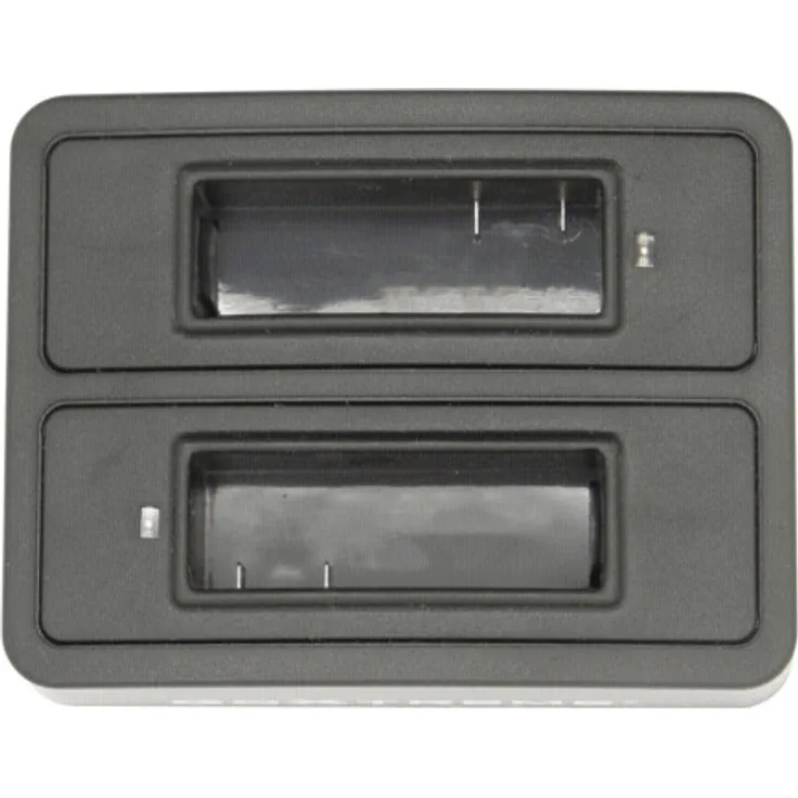 Easypix 01490 Akku-Ladegerät für Zuhause, schwarz, Batterieladegerät (1 A, schwarz)