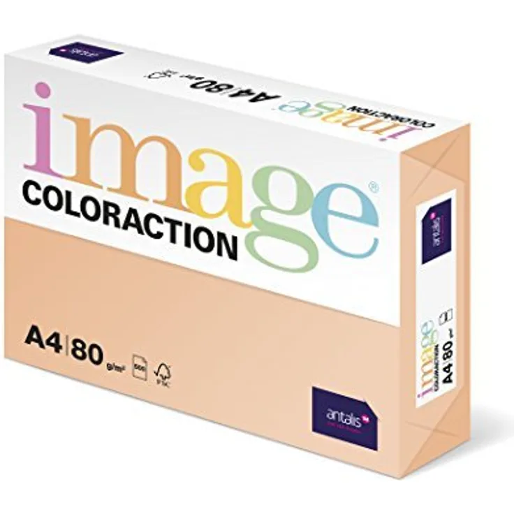 Image Coloraction - farbiges Kopierpapier Savana-salm 80g-m² A4 - Paket zu 500 Blatt
