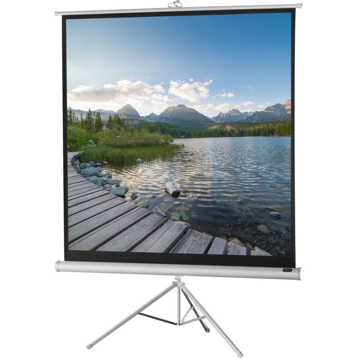 Celexon Stativleinwand Economy 219 x 219 cm - White Edition – Bild 1