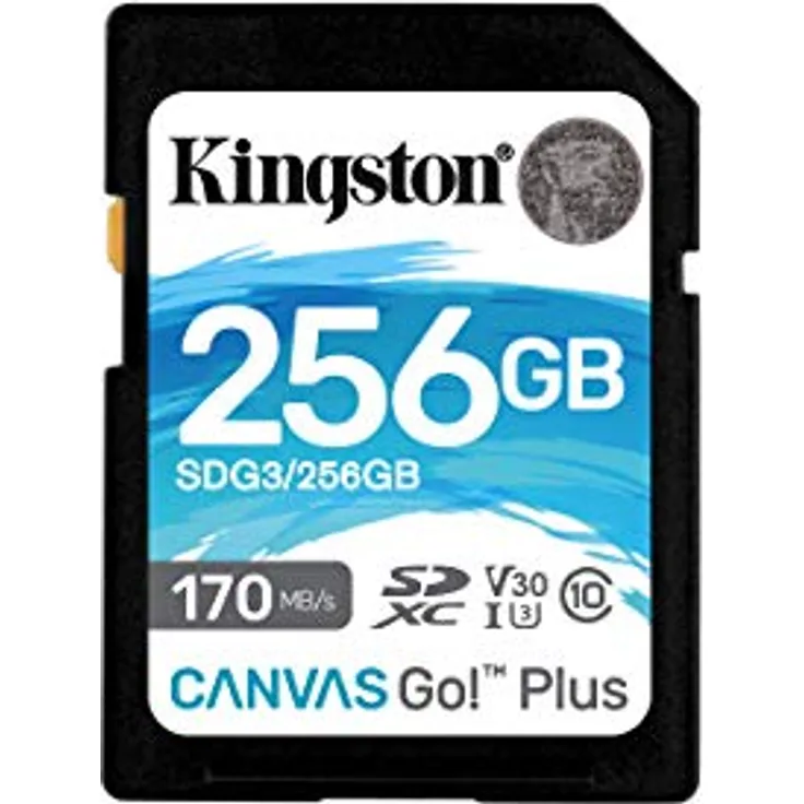 Kingston SDG3-256GB SD Speicherkarte (256GB SDXC Canvas Go Plus 170R C10 UHS-I U3 V30 )