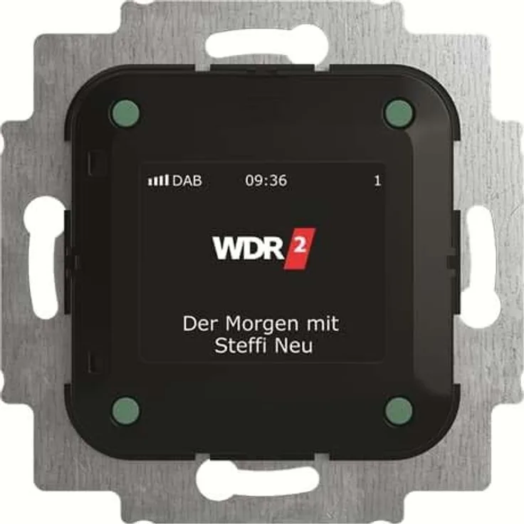 BUSCH-JAEGER Busch-Radio DAB+ 8215 U-101 Einbauradio mit Wecker, schwarz