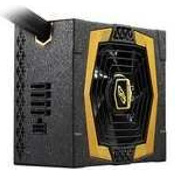 FSP/Fortron Aurum CM 550 550W ATX Schwarz (PPA5501610)