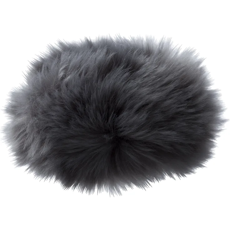 Olympus WJ-4 Windschutz (geeignet für LS-101)