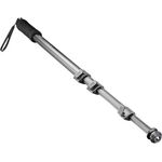 Walimex pro WT-1003 Basic-Einbeinstativ, 171cm