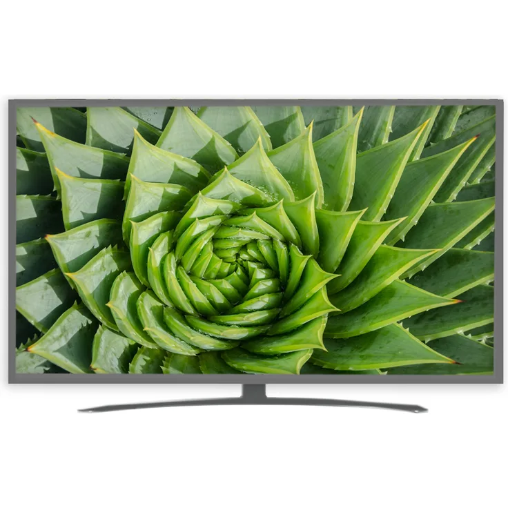 LG 75UN81006LB 189 cm (75 Zoll) LED Smart TV (Ultra HD, HDR) HD-Triple-Tuner (Sat, Antenne, Kabel) Modelljahr 2020 Energieklasse G (DE-Modell)