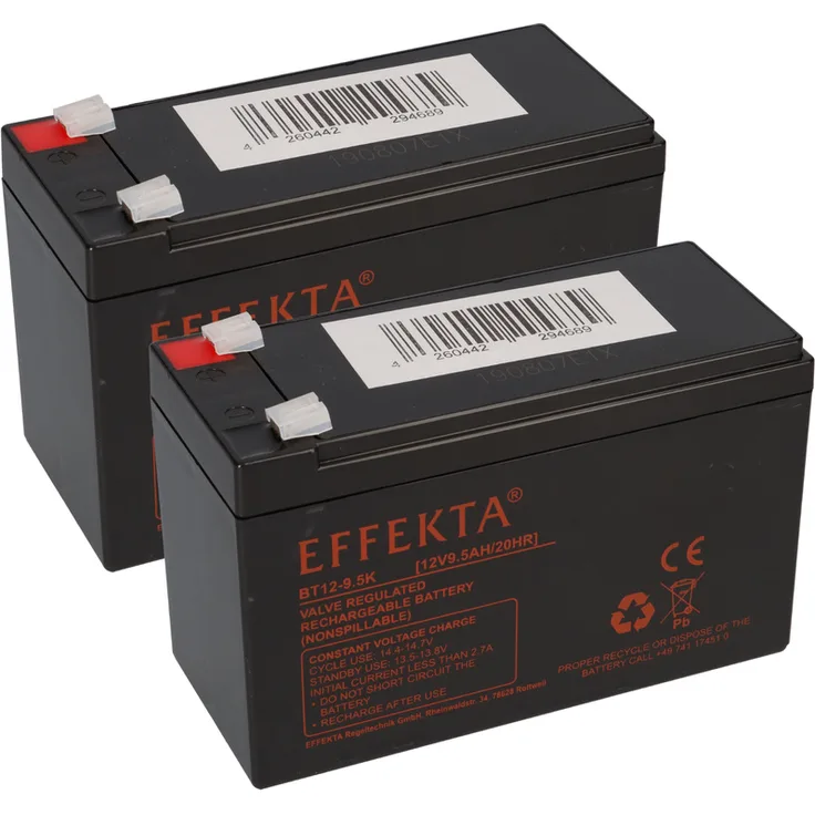 24V 2x 12V 9,5Ah Tante Paula Scooter Elektroroller Blei Akku AGM
