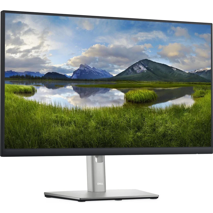 DELL P2422H - 23,8 Zoll, Full HD (1920 x 1080), IPS-Panel, 60Hz, 5ms, 250cd/m² (210-AZYX) – Bild 2