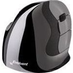 Evoluent VerticalMouse D Medium