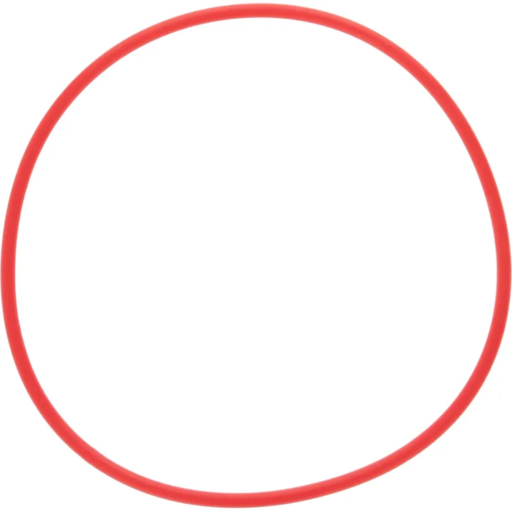 Olympus POL-053 O-Ring (geeignet für PT-053)