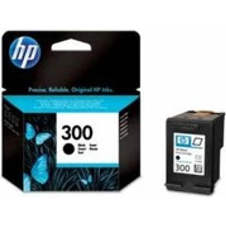 HP 300 Schwarz Original Tintenpatrone (CC640EE) – Bild 1
