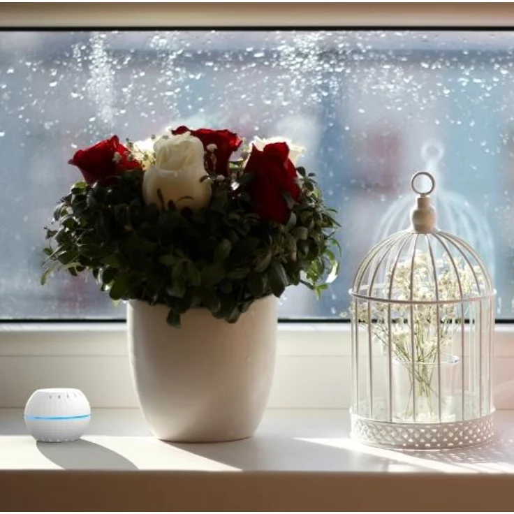 Allterco Robotics Shelly H&T WLAN Temperatur- und Luftfeuchtigkeits-Sensor, Konfiguration mit Shelly App, schwarz (20194) – Bild 3