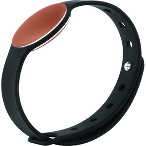 Bild für Misfit Shine Coral