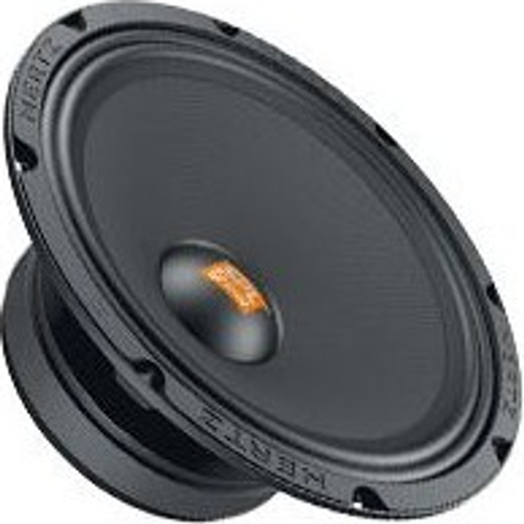 SPL SHOW SV250.1 10'' (25cm) Tiefmitteltöner