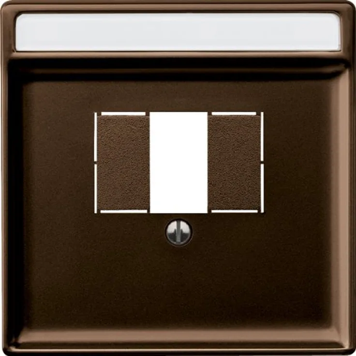 Merten 297815 Zentralplatte für TAE-Audio-USB, dunkelbrasil, System Fläche