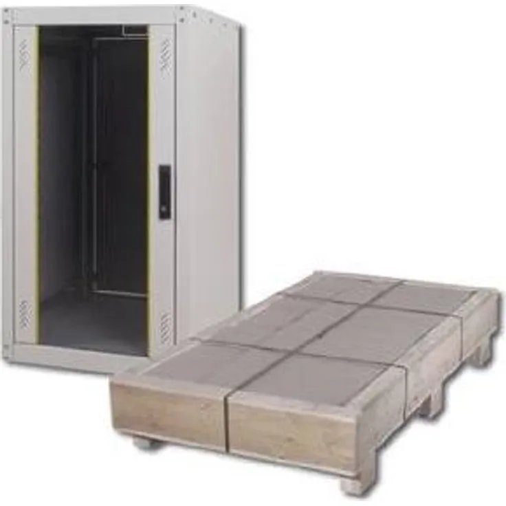 Digitus DN-19 42U-6/6-EC 48,3 cm (19 Zoll) Netzwerkschränke