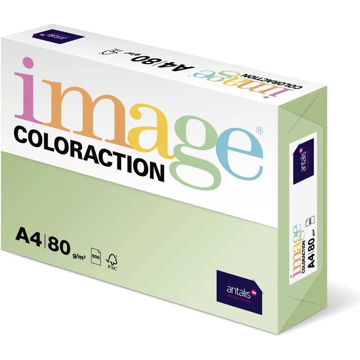 Image Coloraction - farbiges Kopierpapier Jungle-hellgrün 80g-m² A4 - Paket zu 500 Blatt