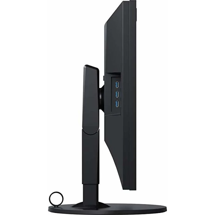 Eizo ColorEdge CG319X - 31,1 Zoll, 4K2K (4096 x 2160), IPS-Panel, 60Hz, 9ms, 350cd/m² – Bild 8