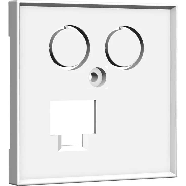 HOMEWAY HW-ZL0RWM55V1 Zentralplatte TV + LAN 55x55mm rwm