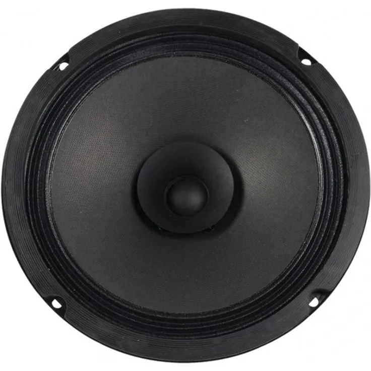 Visaton VS-BG20 - Lautsprecher (Verkabelt, 40 W, 8 Ohm, Schwarz) Einbau-Lautsprecher - 40 Watt - schwarz