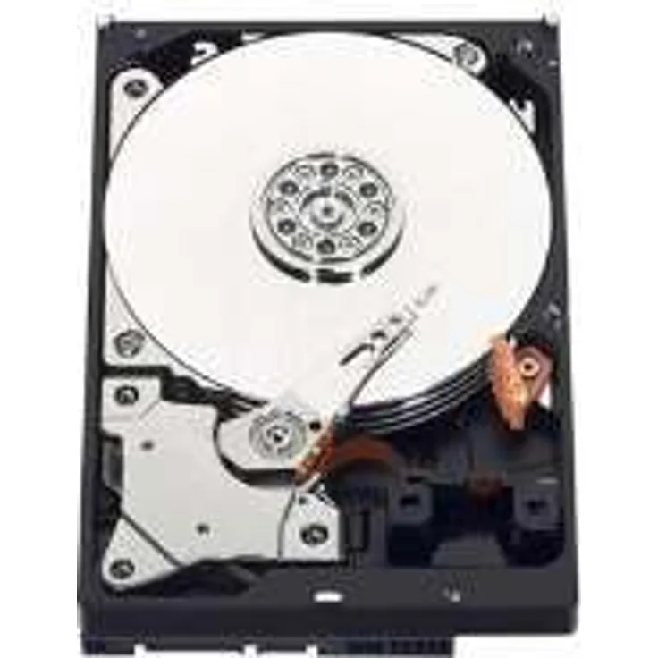 Western Digital WD1001FALS Caviar Black 1 TB