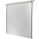 celexon motorisierte Beamer-Leinwand Wand-oder Deckenmontage Motor Professional - 240 x 135 cm - 16:9 - Gain 1,2