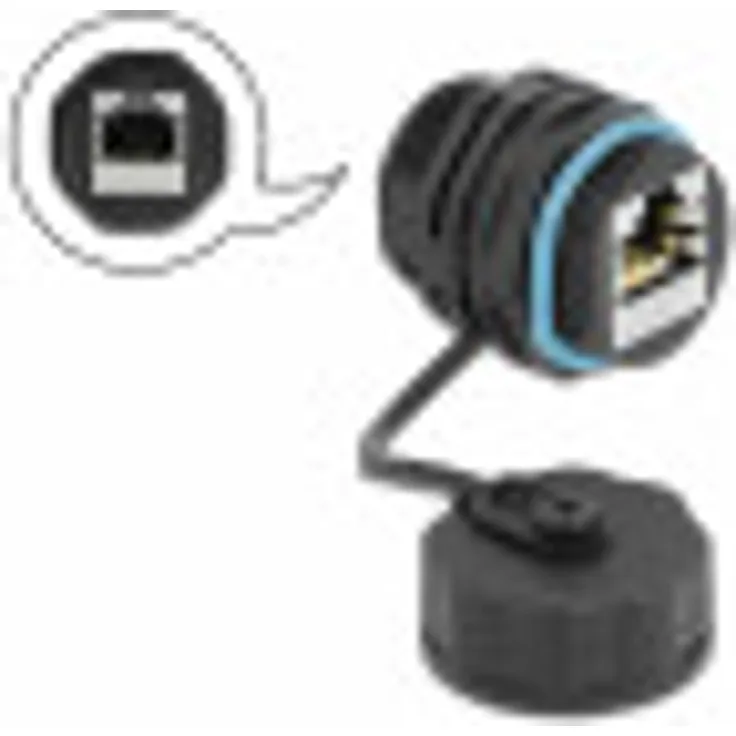 Delock Kabelverbinder RJ45 Buchse zu RJ45 Buchse Cat.6A mit Verschlusskappe