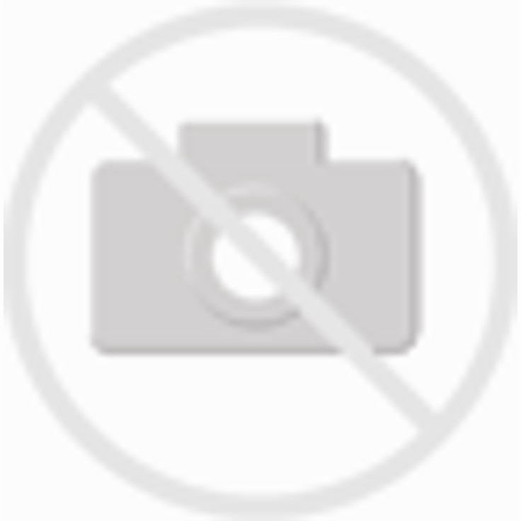 RaidSonic ICY Box Displayport 1.2 zu VGA Adapter Bu-St