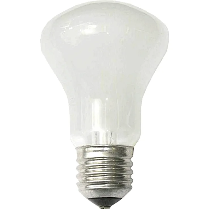 Elinchrom Einstellampe 100 Watt Krypton für D-Lite, BRX und BXRi (E23002)