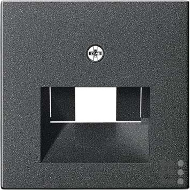 Gira Abdeckung 027028 UAE-IAE (ISDN) System 55 ant