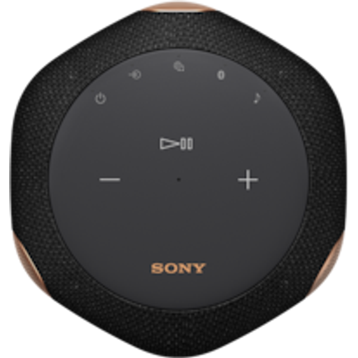 Sony SRS-RA3000 Multiroom-Lautsprecher mit Alexa, Google Assistant, geeignet für Indoor, schwarz – Bild 3