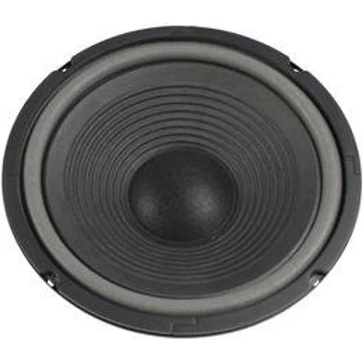Visaton W250-8