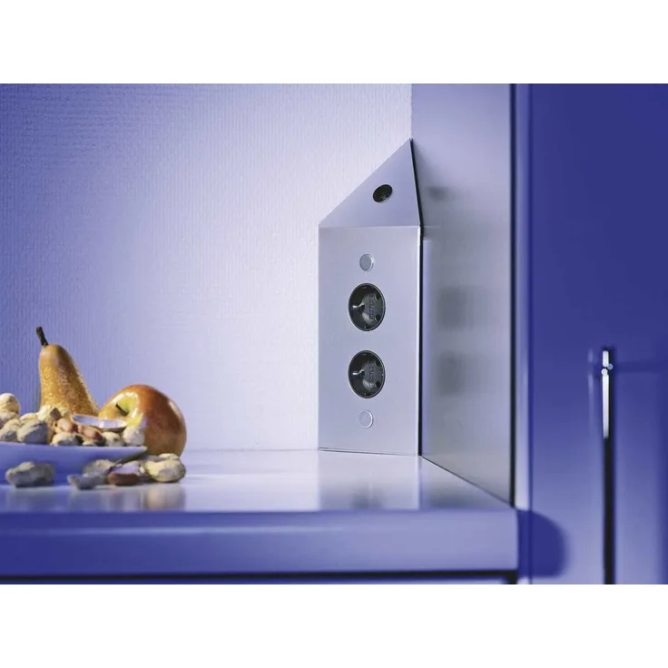 Thebo STS 3007-2C - 17596/200/2C Steckdosenelement Edelstahl