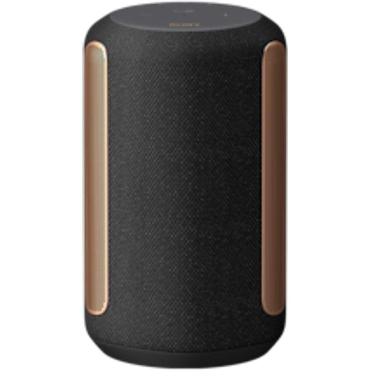 Sony SRS-RA3000 Multiroom-Lautsprecher mit Alexa, Google Assistant, geeignet für Indoor, schwarz – Bild 1