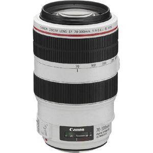 Bild für Canon Telezoomobjektiv EF 70-300mm F4-5.6L IS USM für EOS (67mm Filtergewinde, Autofokus, Bildstabilisator)