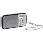 TechniSat Techniradio RDR Tragbares Radio, LCD-Display, silber