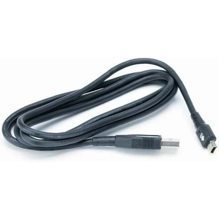 BlackBerry BBASY-06610-001 Mini USB-Datenkabel