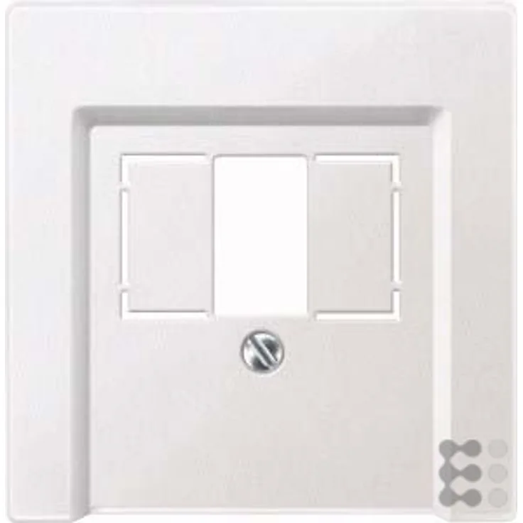 Merten 297919 Zentralplatte für TAE-Audio-USB, polarweiß, System M